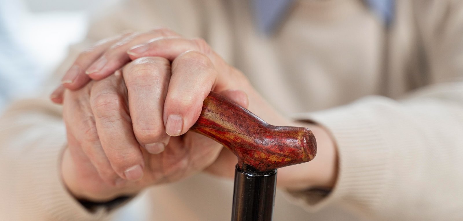 Disability Services